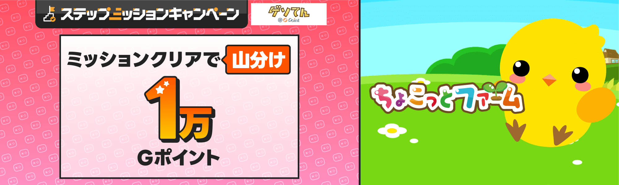 202605_chocofa